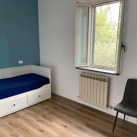 L'ortensia Cibottola