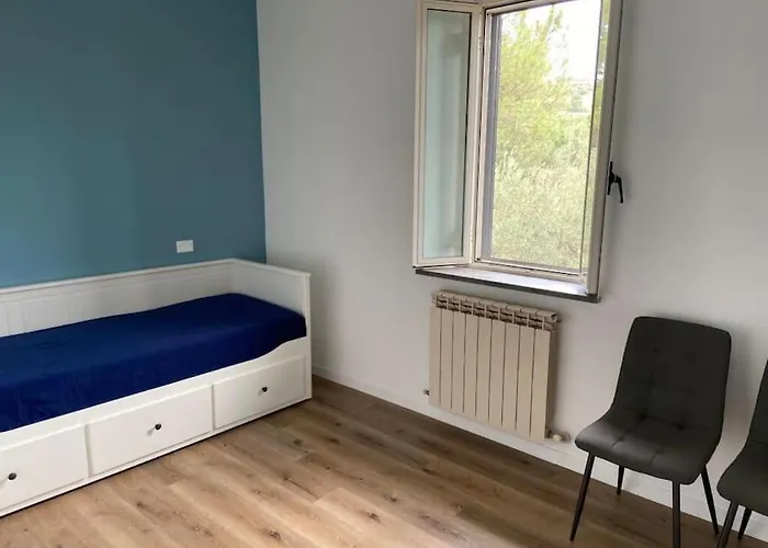 L'ortensia Cibottola